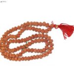 Indonesia 5 Mukhi Rudraksha Jap Mala