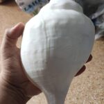 Shankh Without Sound